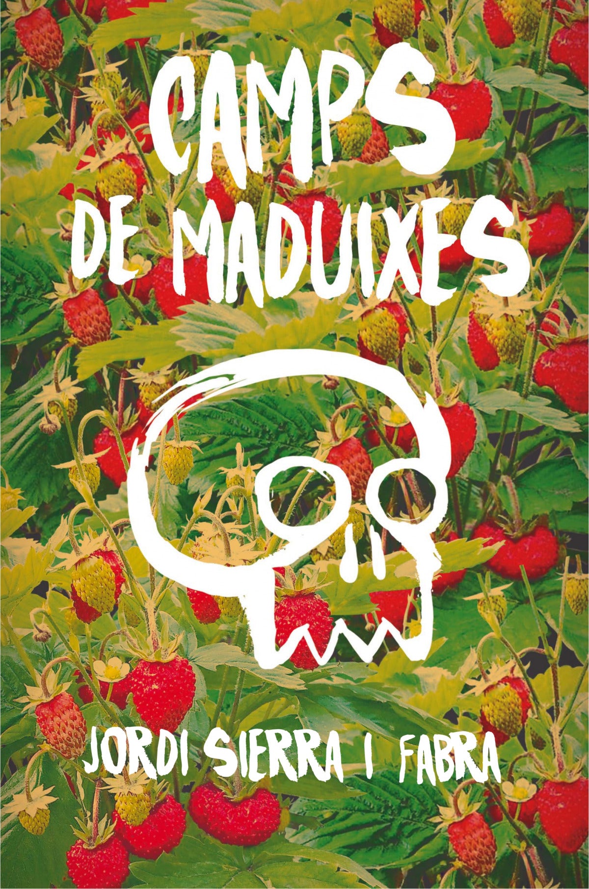 Camps De Maduixes