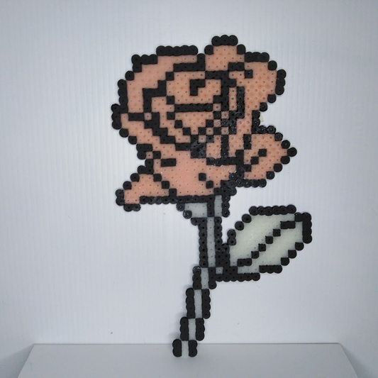Rosa Sant Jordi glow in the dark
